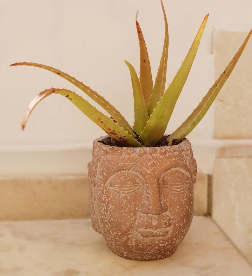 Estrelinha Da Appartement *